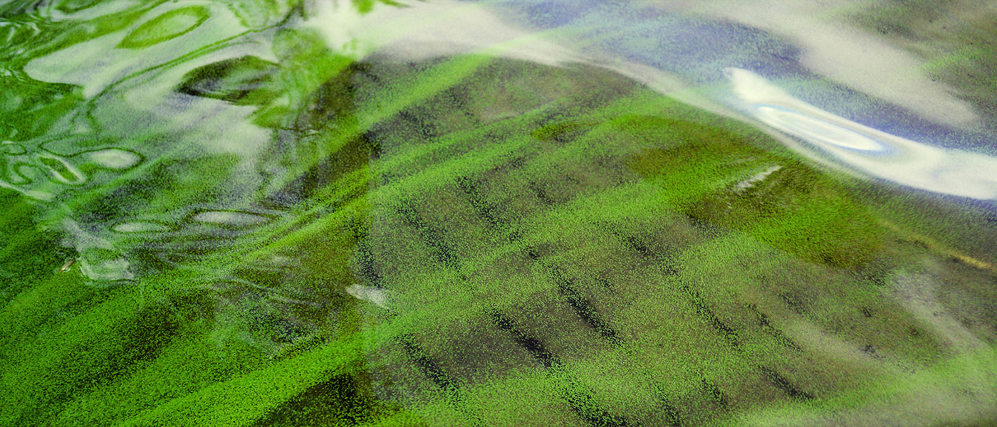 Επένδυση 18 εκατομμυρίων ευρώ για καλλιέργεια φυτοπλαγκτού στην Ελλάδα