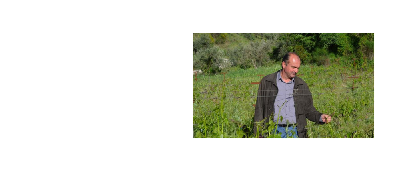 Φάνης Κουρεμπές