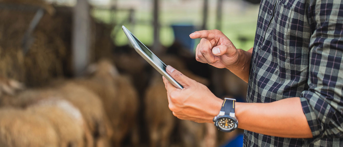 Μητρώα Αιγοπροβάτων: Το δεύτερο βιβλίο που γράφει τις επιδοτήσεις