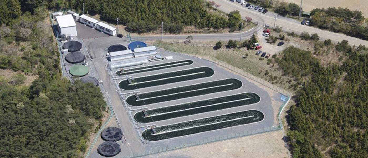 Επένδυση 18 εκατομμυρίων ευρώ για καλλιέργεια φυτοπλαγκτού στην Ελλάδα