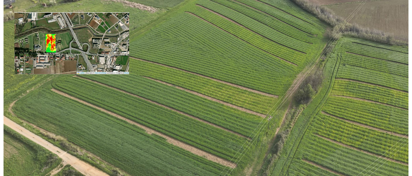 drone ndvi