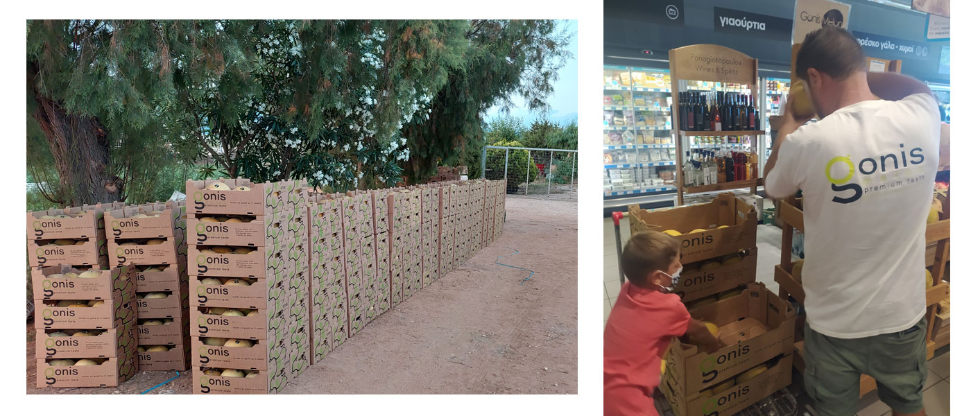 πεπόνια Αντώνης Γκόνης