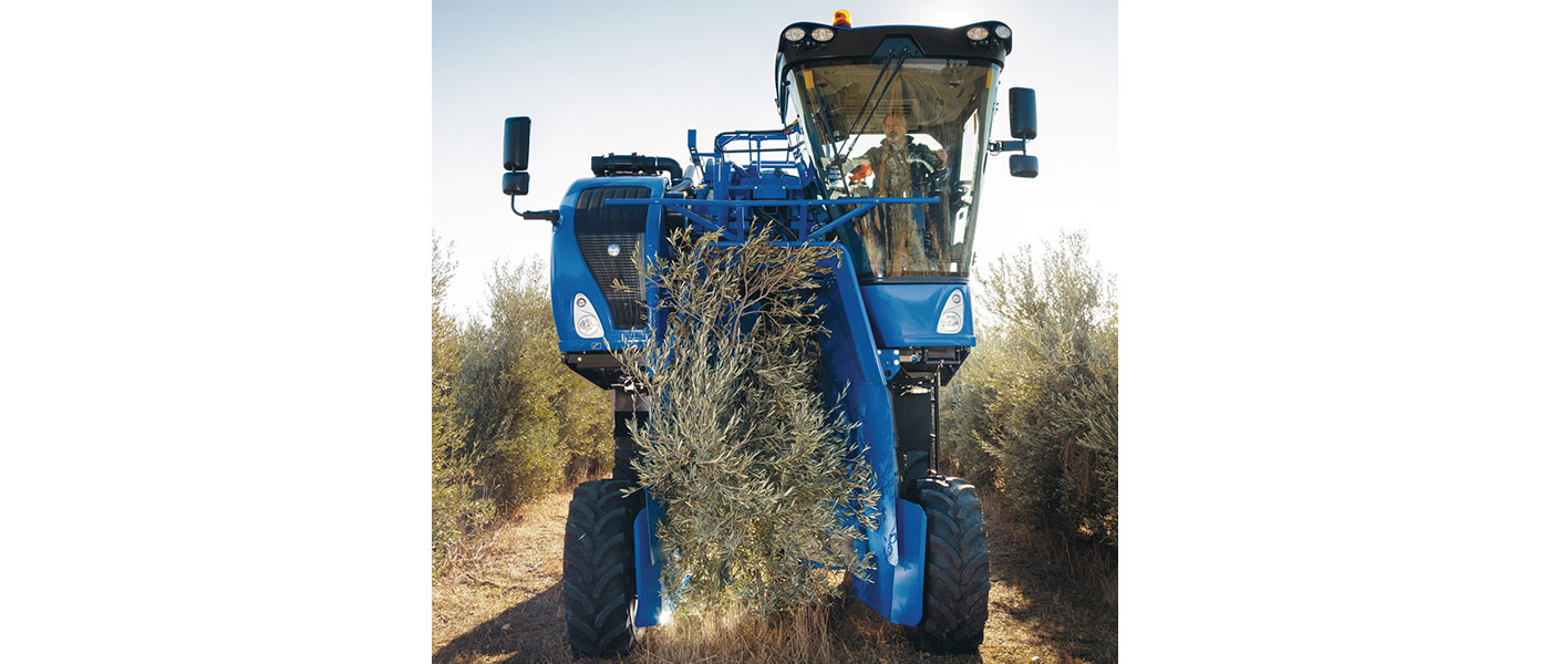 Ελαιοσυλλεκτική Braud 9090X με εξελιγμένο τίναγμα για ολοκληρωτικό μάζεμα καρπού