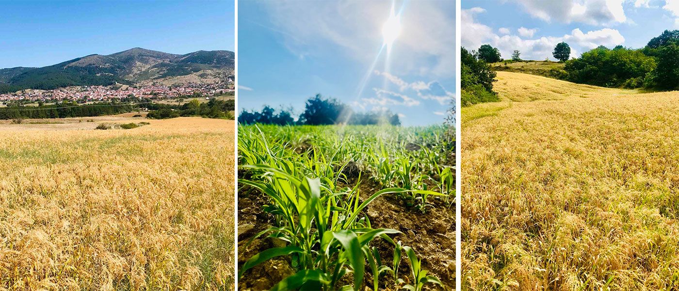 Μαρία Μπότη