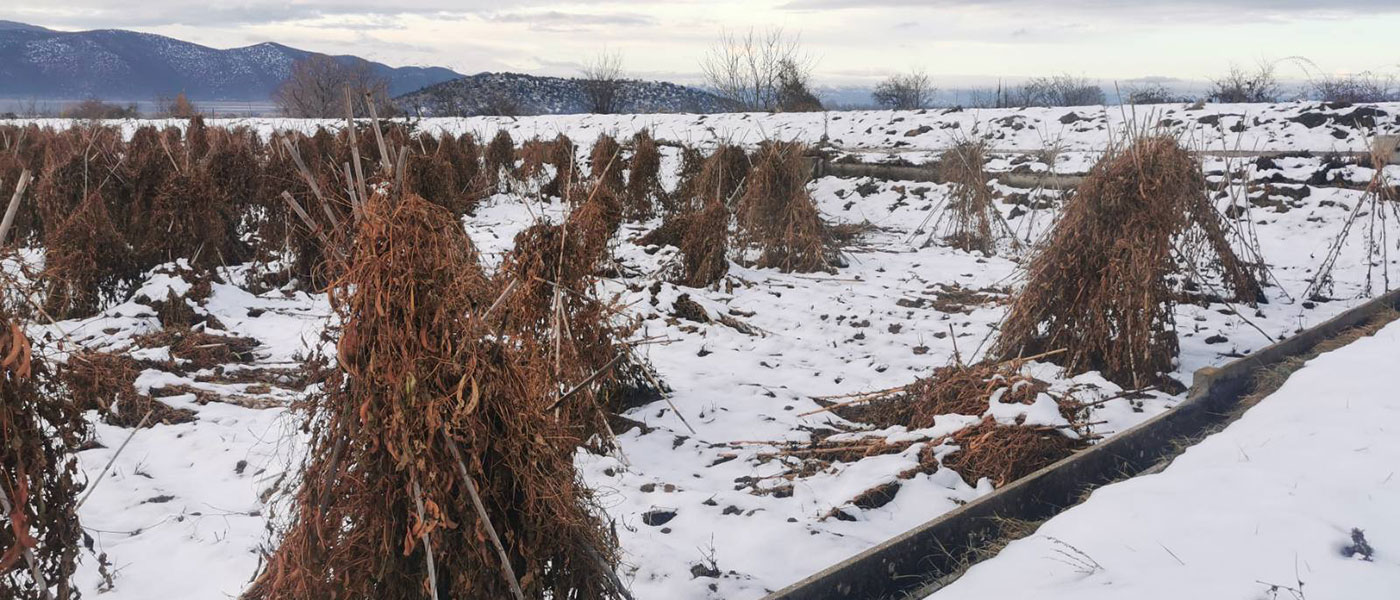 Πρέσπες χιόνια ζημιές