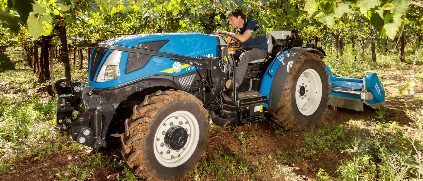 bassotto new holland