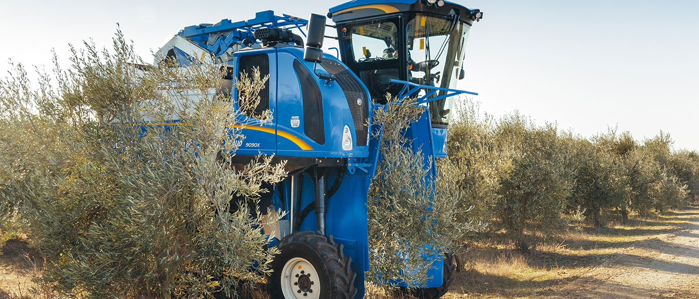 Ελαιοσυλλεκτική Braud 9090X με εξελιγμένο τίναγμα για ολοκληρωτικό μάζεμα καρπού