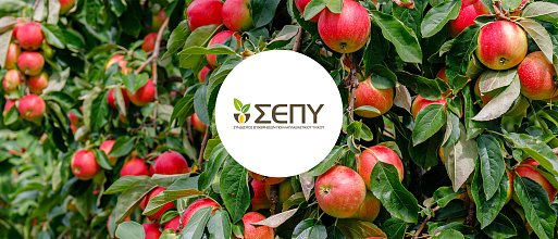 Ημερίδα: Η σημασία της αναγκαιότητας χρήσης πιστοποιημένου πολλαπλασιαστικού υλικού στην παραγωγή ποιοτικών φρούτων