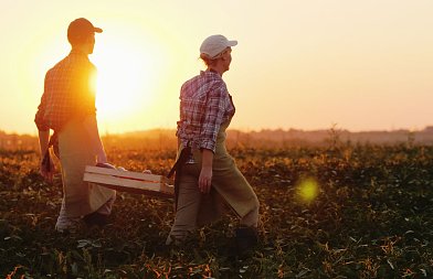 Έρχεται παράταση έως 30 Ιουνίου 2026 για την υποβολή αιτήσεων για εργάτες γης