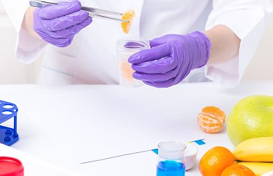 Τα μέτρα για την αύξηση των ελέγχων στις εισαγωγές αγροτικών προϊόντων που ανακοίνωσε η Κομισιόν