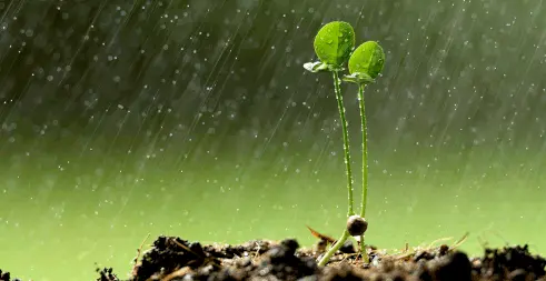 Ισχυρές βροχές και καταιγίδες προβλέπει η ΕΜΥ για το επόμενο διήμερο, ποιες περιοχές θα πλήξουν