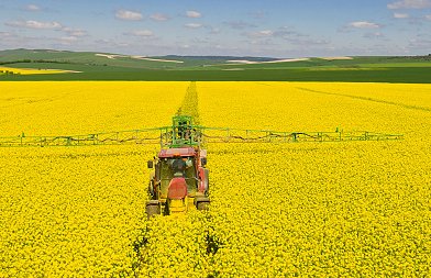 Ολοκληρώθηκαν οι σπορές ελαιοκράμβης, οι καιρικές συνθήκες βοήθησαν την καλλιέργεια και αυξήθηκαν τα στρέμματα