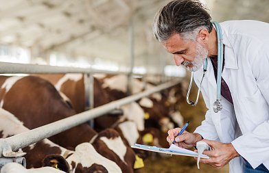 Όλοι οι υπάλληλοι του ΟΠΕΚΕΠΕ πάνε στην ΑΑΔΕ, συνεχίζονται οι έλεγχοι λίγο πριν τις πληρωμές