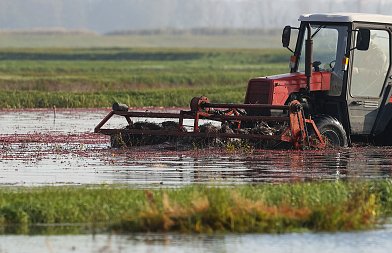 Ο BYRON φέρνει ισχυρές καταιγίδες, με χαλαζοπτώσεις και βροχοπτώσεις Κατηγορίας 5, ποιες περιοχές απειλούνται