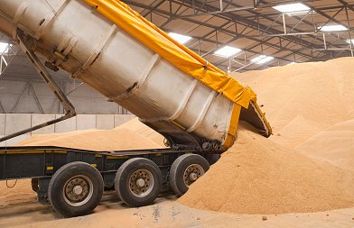 Αύξηση τιμής για τα ρουμάνικα σιτάρια, οι τιμές που αγόρασε η Σαουδική Αραβία 985.000 τόνους σκληρό σιτάρι