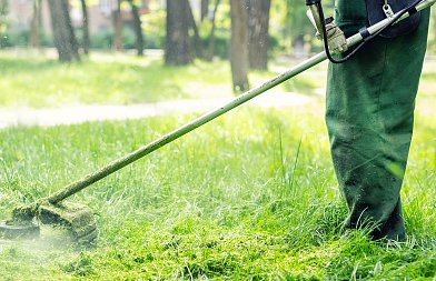 Ξεκινούν οι υποχρεωτικοί καθαρισμοί οικοπέδων, έρχονται τσουχτερά πρόστιμα αν δεν γίνουν ή αν δεν δηλωθούν