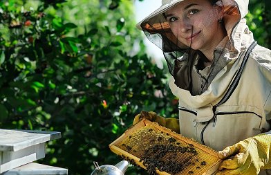 Νέα Δράση για τα Μελισσοκομικά Προϊόντα: Όλες οι αλλαγές για ποιότητα και πιστοποίηση