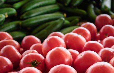 Οι τιμές στα αγγούρια και τις ντομάτες, πως κατανέμονται οι αιτήσεις για επενδύσεις στα θερμοκήπια