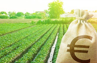 Αλλάζουν οι όροι δανειοδότησης αγροτών με τρία νέα χρηματοδοτικά εργαλεία, αφορούν δάνεια από 10.000 έως 3,5 εκ. ευρώ