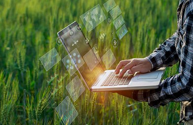 Απλήρωτα 600 χιλιάδες αγροτεμάχια για ενισχύσεις του 2025, τι πρέπει να γίνει για να προχωρήσει η πληρωμή