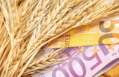 Θέλει πολιτική απόφαση για να «τρέξει» πρόγραμμα ad hoc σε παραγωγούς σιτηρών, συνολικού ύψους 77 εκ. ευρώ