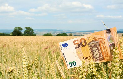 Από Οικολογικά δεν μπορούν να καταβληθούν οι ενισχύσεις 80 εκ. ευρώ σε βαμβάκι και σιτάρι λένε τα ΚΥΔ