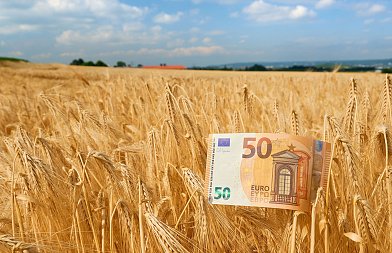 Τις πληρωμές Νοεμβρίου ανακοίνωσε ο Κέλλας, αφορούν προκαταβολή τσεκ, ΕΦΚ πετρελαίου, αποζημιώσεις ΕΛΓΑ και Μέτρο 23