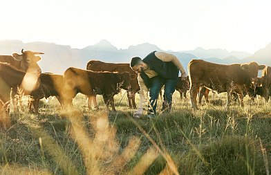 9μελή συντονιστικό όργανο των εκτροφέων Αυτόχθονων Φυλών, τι πρωτοβουλίες θα αναλάβει