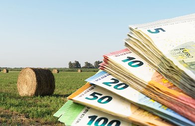 Τι συμβαίνει με την μηδική, πως θα καταβληθούν τα de minimis των 30 εκ. ευρώ