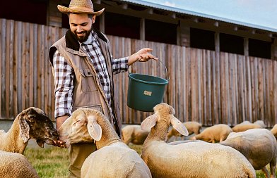 Στοχευμένη απαγόρευση βόσκησης, όπου ισχύσει να πληρώνουν άμεσα ζωοτροφές, καταστροφικό να συλλαμβάνουν κτηνοτρόφους