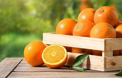 Με διακοπές οι κοπές πορτοκαλιών στην χώρα λόγω βροχών, που κυμαίνονται οι τιμές, άλμα εξαγωγών έκανε το Μαρόκο