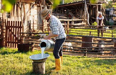 Έκλεισαν οι πρώτες εμπορικές συμφωνίες για το αιγοπρόβειο γάλα, που κυμαίνονται φέτος οι τιμές