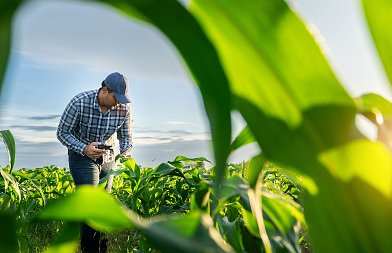 Από 1η Δεκεμβρίου ψηφιακή η έκδοση δελτίου αποστολή, έτοιμη η ΑΑΔΕ, τι να προσέξουν οι αγρότες