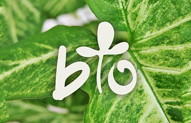 Η Κομισιόν ανακοίνωσε τους νικητές των Ευρωπαϊκών Βραβείων Βιολογικής Παραγωγής του 2026