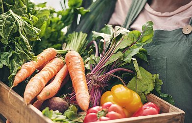 Καταγγελίες για απλήρωτα Επιχειρησιακά Προγράμματα Οπωροκηπευτικών του 2025