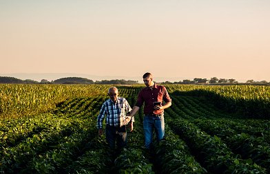 Αγροτική εργασία και ΣΕΠΕ: ανάμεσα στη νομιμότητα και την πραγματικότητα