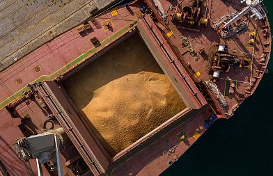 Τιμή που αγόρασε 60.000 τόνους σιτάρι η Ιορδανία, που κυμαίνονται οι διεθνείς τιμές