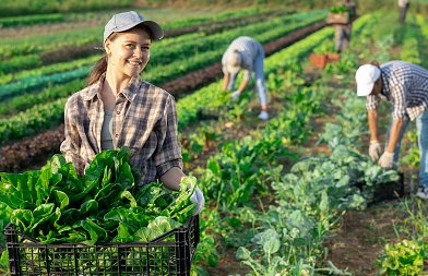 Καθιερώνεται  βραβείο αριστείας 1.000 ευρώ για παιδιά αγροτών, ενώ έχουμε και αύξηση τροφείων στο κατασκηνωτικό πρόγραμμα