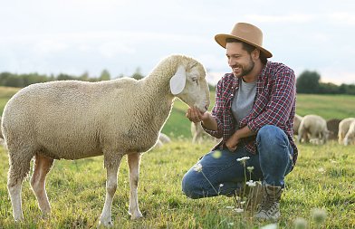 Μέχρι πότε κάνουν οι κτηνοτρόφοι αιτήσεις για ανωτέρα βία στην ΑΑΔΕ, αλλιώς θα χάσουν τις ενισχύσεις