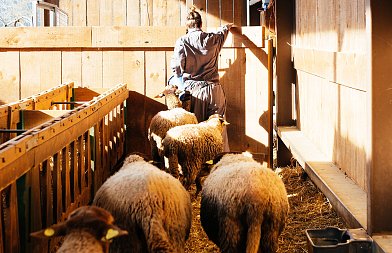 Μέτρα για μετακινήσεις και σφαγές αιγοπροβάτων ενόψει Πάσχα – Τι προβλέπεται
