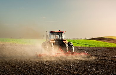 Προετοιμασία αγρού για βαμβάκι: Τα βήματα πριν μπει η σπαρτική