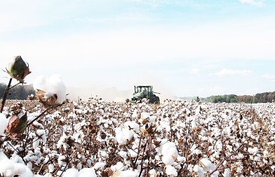 Ο έλεγχος monitoring βγάζει εκτός επιλεξιμότητας πολλά αγροτεμάχια, οργή παραγωγών που χάνουν επιδοτήσεις
