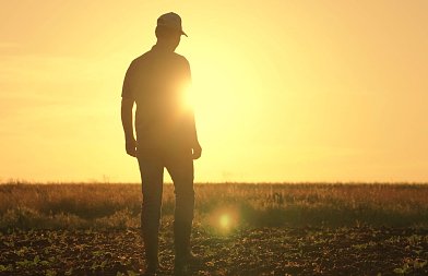 Τι βρήκε η DG AGRI στον ΟΠΕΚΕΠΕ: οι διαπιστώσεις, η επιτήρηση και το Σχέδιο Δράσης