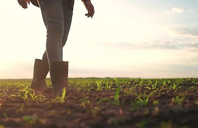 Η συμφωνία ΕΕ με Mercosur και η αντιαγροτική πολιτική της κυβέρνησης