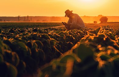 Αγρότης εν έτει 2025: Ανάμεσα στη γη και το σύστημα