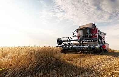 Κριθάρι: Τιμή που αγόρασε 25.000 τόνους η Τυνησία, προβλέψεις παραγωγής και εμπορίου για Ουκρανία, Τουρκία και Ρωσία