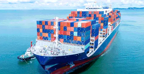 Ευρωπαϊκό εμπόριο τροφίμων: πιέσεις σε σιτηρά και ελαιόλαδο, άνοδος εισαγωγών κακάο και καφέ