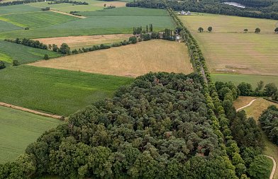 Αγροτεμάχια με ΑΤΑΚ και ΚΑΕΚ λόγω κωδικού 54350 κινδυνεύουν να μείνουν απλήρωτα, σε απόγνωση οι παραγωγοί