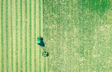 Δεν πληρώνουν de minimis στην μηδική πριν την Πρωτομαγιά, πότε αναμένεται να γίνει πληρωμή