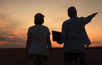 Απλήρωτοι έμειναν πολλοί παραγωγοί αλλά κανείς δεν έχει ευθύνη, υπάρχουν παράπονα με ΑΑΔΕ, τι λένε ότι θα πληρωθεί την Παρασκευή